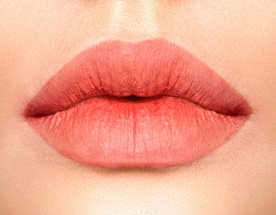 Matte Pigment Lipgloss